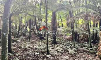 Imagem 3: Lote em Rua 21 - Alpes - São Francisco de Paula/RS
