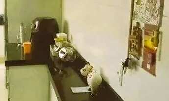 Imagem: EDIFICIO CALAMARES