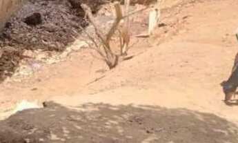 Imagem 3: Vendo Casa + Terreno no bairro do Mario Bezerra, a 2 km do comércio