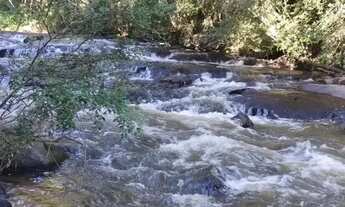 Imagem 3: Sitio em cajuru 3 alqueires 1.500.000.00 ( laer