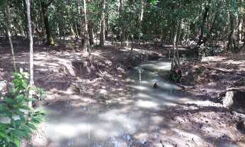 Imagem 5: Fazenda 87 alqueires em Nova América-GO