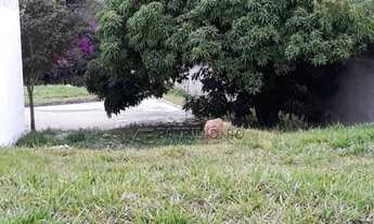 Imagem 4: Loteamento/condomínio à venda em Novo eldorado, Sorocaba cod:57415