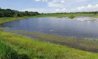 Imagem 7: Fazenda em Gurupi Tocantis