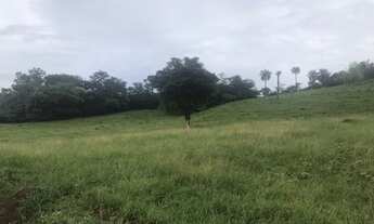 Imagem: Chácara 1 alqueiro e 40 litros a 2 km da