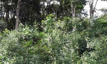 Imagem 7: Linda chácara de 2.500 m², com nascente a 100 metros do Rio Cipó (Temos varias opções)