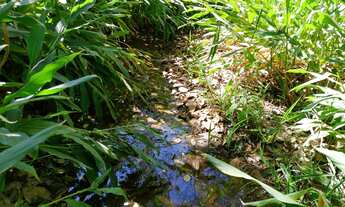 Imagem 2: Chacara no varjão com agua no meio da terra 55 km d Goiânia chacaras de 3 hectares energia