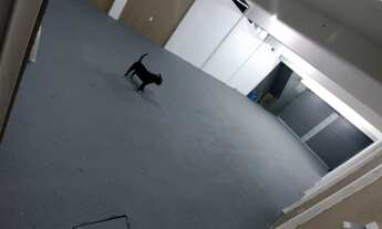 Imagem 3: Prédio para venda em frente ao SPA do galiléia