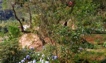 Imagem 3: Sitio para venda tem 5000 metros quadrados com 2 quartos em - Marechal Floriano - Espírit