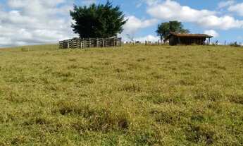 Imagem 4: Terreno (121.000m²) em área rural na cidade de Cerquilho - SP