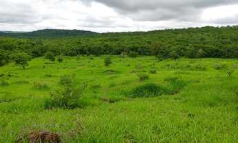 Imagem 4: Chácara em mairipotaba a 80 km de Goiânia com corrego energia chacaras 20.000 metros