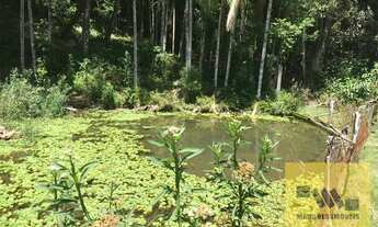 Imagem 4: Mogi das Cruzes - Sítio - Taiacupeba