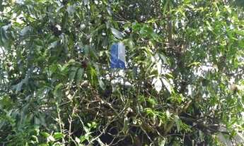 Imagem 2: Terreno para Venda em Pindamonhangaba, Moreira César