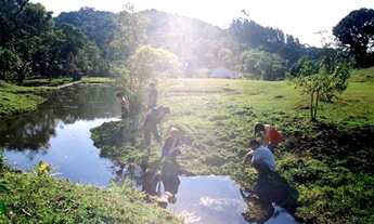 Imagem 3: Sítio Residencial, 5 alqueires, próximo à São Paulo