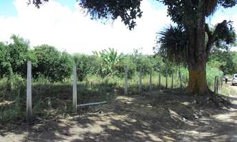 Imagem 5: Terreno com 1 Hectare ao lado da Exposição de Animais de Carpina