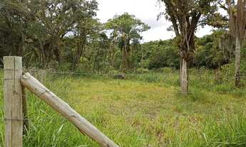 Imagem 7: Lote/Terreno para venda tem 360 metros quadrados em Encantada - Garopaba - SC