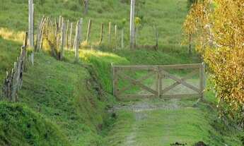 Imagem 2: Lote/Terreno - Gamboa - Garopaba