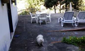 Imagem 5: Sitio para venda tem 5000 metros quadrados com 2 quartos em - Marechal Floriano - Espírit