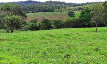 Imagem 6: Terezópolis de Goiás - Chácara