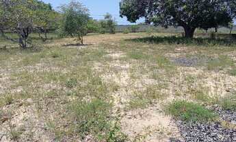 Imagem 3: 02 lote de terrenos em Jacumã, escriturado e registrado, excelente localização