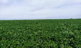 Imagem: Oportunidade! Vende-se um expetaculo de