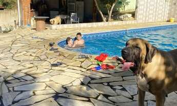 Imagem 3: Fazenda/Sítio/Chácara para venda possui 2354 metros quadrados em Centro - Itapeva - MG