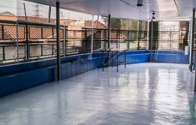 Imagem 4: Galpão/Prédio Comercial 2385m² - Ipiranga