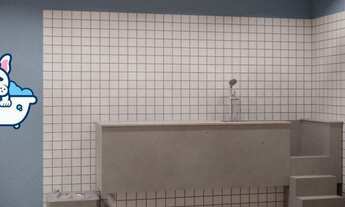 Imagem 4: EB126 Walter Rangel