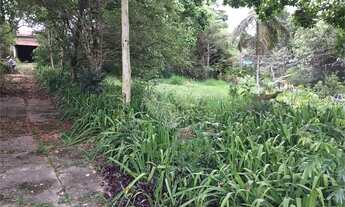 Imagem 3: Casa-Carapicuíba-Chácara das Paineiras