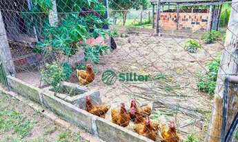 Imagem 6: Terreno à venda, 2500 m² por R$ 110.000,00 - Morungava - Gravataí/RS