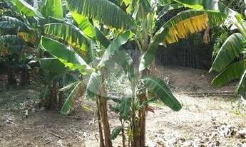 Imagem 5: Terreno - Sousas - Campinas