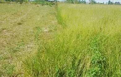 Imagem 5: Água Bonita Piracicaba 1.000m2