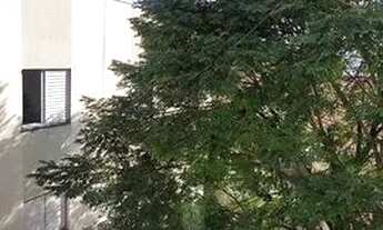 Imagem 4: Guarulhos - Apartamento Padrão - Jardim Adriana