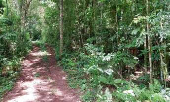 Imagem 4: Sítio no bairro Bugre em Canela!