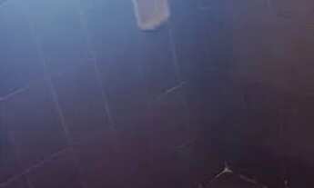 Imagem 4: Aluga-se um barracão