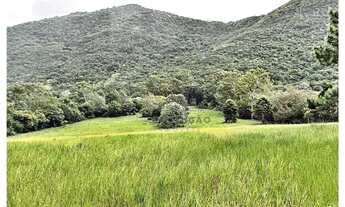 Imagem 4: Terreno 175.000 m² - Rio Vermelho - Florianópolis