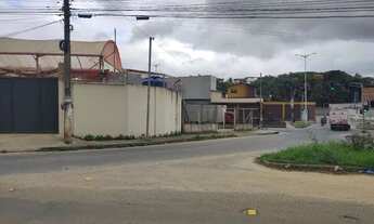 Imagem: Alugo lote com estufa para cultivo de flores