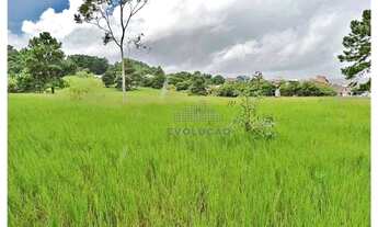 Imagem 6: Terreno 175.000 m² - Rio Vermelho - Florianópolis