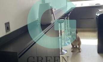 Imagem 4: Apartamento MOBILIADO para locação no Brooklin! Ao lado do Shopping Morumbi!