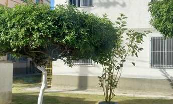 Imagem 5: Alugo apartamento de 2 quartos no Anil