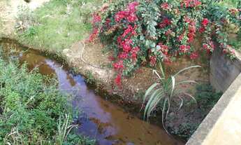 Imagem 2: Fazenda/Sítio/Chácara para venda com 25000 metros quadrados com 2 quartos