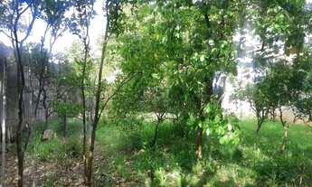 Imagem 6: Terreno para Venda - 0m², 0 dormitórios, Sarandi