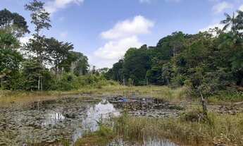 Imagem 6: Terreno com igarapé