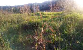 Imagem: Venha montar seu sítio com uma área medindo