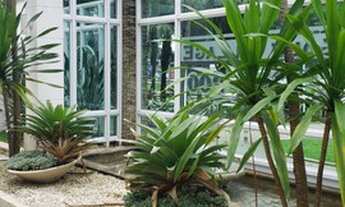 Imagem 2: Apartamento em São conrado