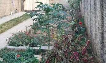 Imagem 4: Casa para venda possui 180 metros quadrados com 2 quartos