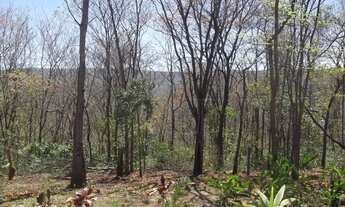 Imagem 6: Chácaras de 2.500m², com água de poço artesiano e energia elétrica, em São José da Serra