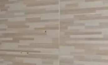 Imagem 4: Excelente Apto de 2 quartos em Boa viagem