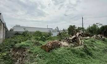 Imagem 2: TERRENO NO COND. MOSAICO PONTA NEGRA LOTE 10X25 QUITADO