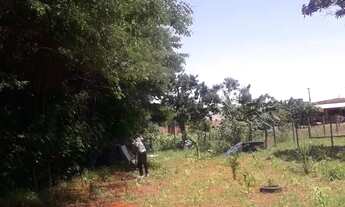 Imagem 6: Chácara no Núcleo Rural Jardim Morumbi / Planaltina DF