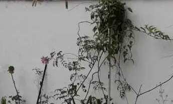 Imagem 3: Sobrado em Rua Durval Pedroso da Silva - Interlagos - São Paulo/SP